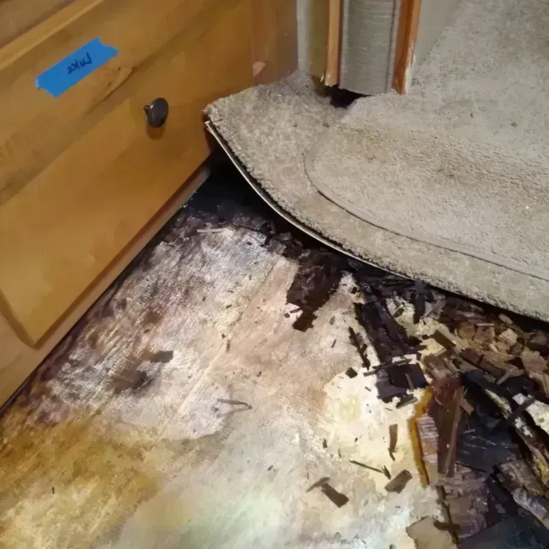 Best Wood Floor Water Damage Service in Chaska, MN